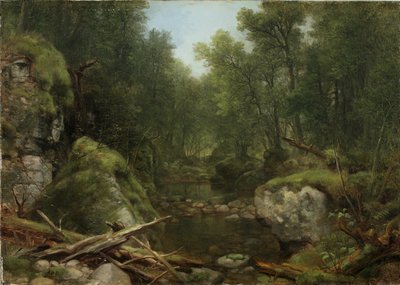 Chapel Pond Brook, Keene Flats, Adirondack Mountains, N.Y., 1870 - Asher Brown Durand